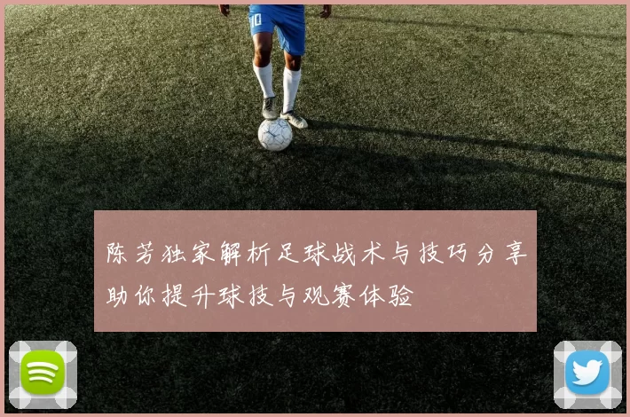 陈芳独家解析足球战术与技巧分享助你提升球技与观赛体验