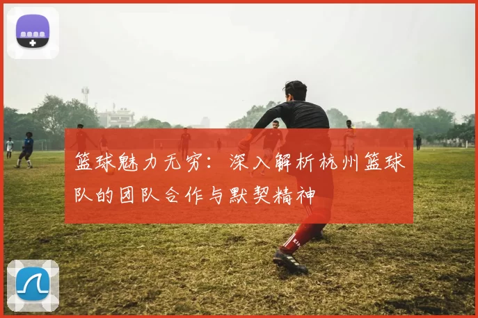 篮球魅力无穷：深入解析杭州篮球队的团队合作与默契精神