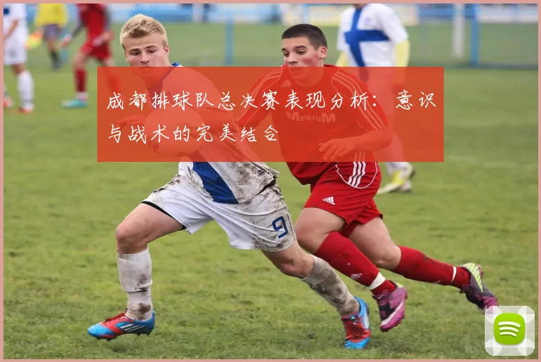 成都排球队总决赛表现分析：意识与战术的完美结合
