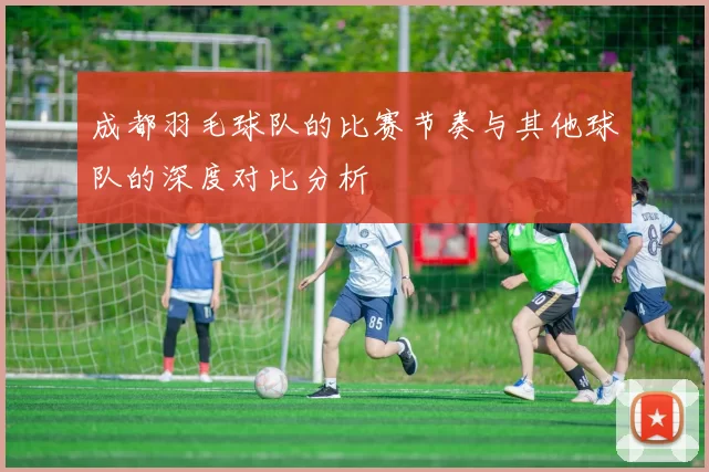 成都羽毛球队的比赛节奏与其他球队的深度对比分析