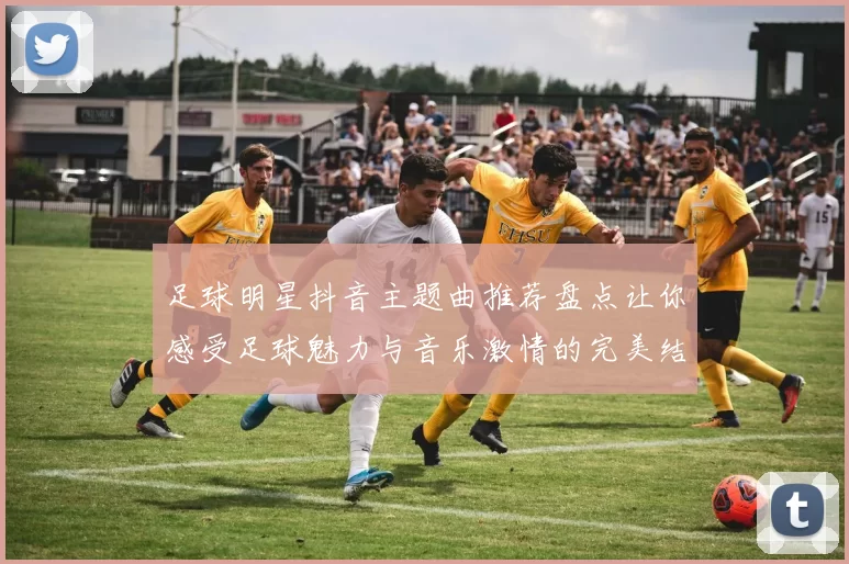 足球明星抖音主题曲推荐盘点让你感受足球魅力与音乐激情的完美结合