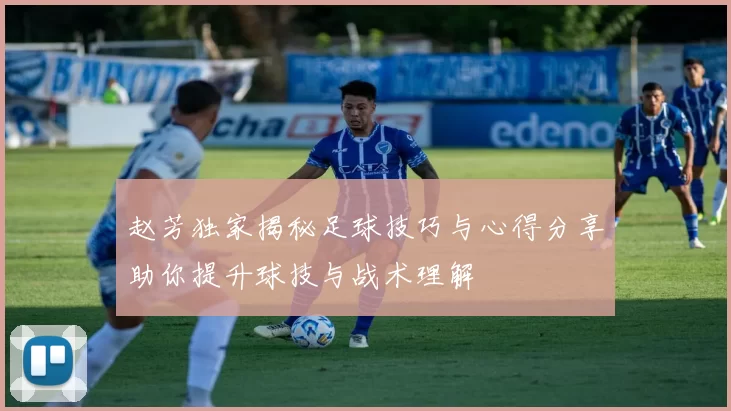 赵芳独家揭秘足球技巧与心得分享助你提升球技与战术理解
