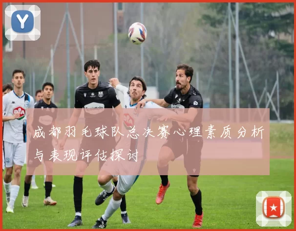 成都羽毛球队总决赛心理素质分析与表现评估探讨