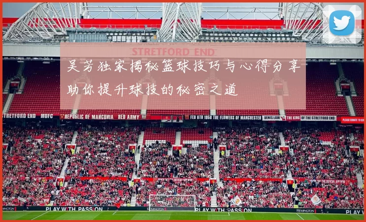 吴芳独家揭秘篮球技巧与心得分享助你提升球技的秘密之道
