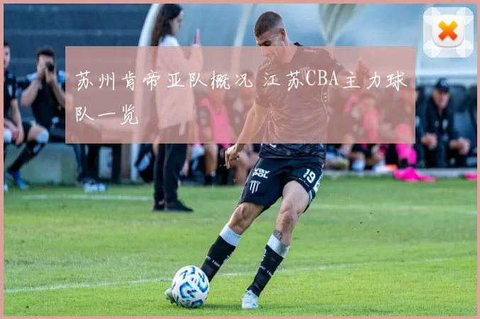 苏州肯帝亚队概况 江苏CBA主力球队一览